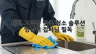 제천 고암동 맞춤 청소 솔루션 ✨ 멍냥이 집사님 필독! 🐾