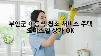 부안군 이동식 청소 서비스🧹 주택, 오피스텔, 상가 OK!