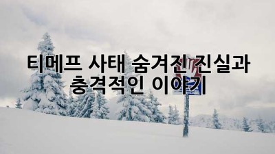 티메프 사태: 숨겨진 진실과 충격적인 이야기